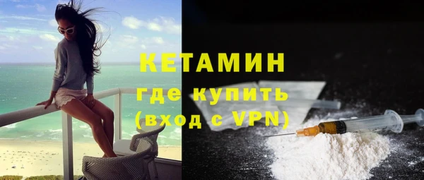 твердый Бородино