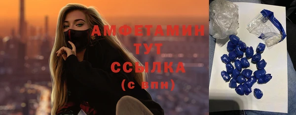 твердый Бородино