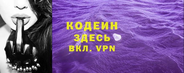 твердый Бородино