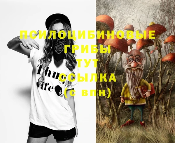 твердый Бородино