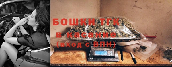 твердый Бородино