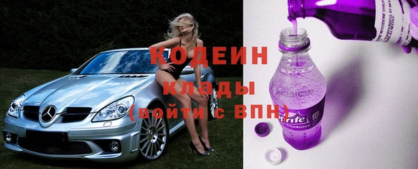 твердый Бородино